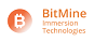 BitMine Immersion Technologies Inc. Company Logo